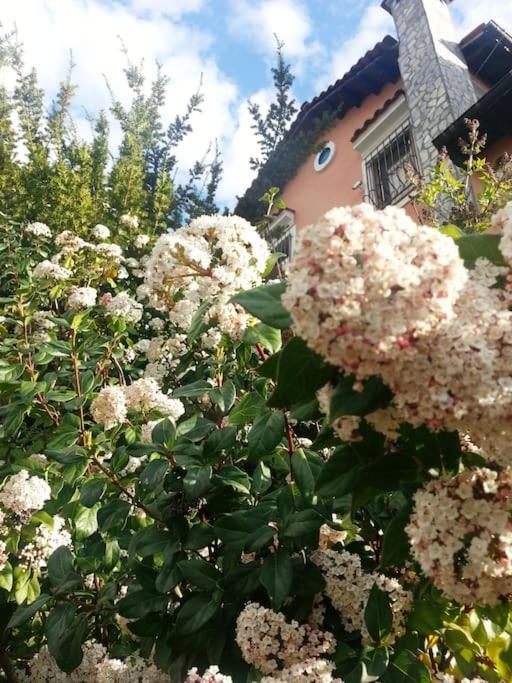 Villa Tethys Mountain Resort Zakas Ngoại thất bức ảnh