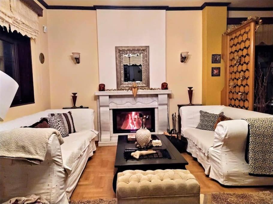 Villa Tethys Mountain Resort Zakas Ngoại thất bức ảnh