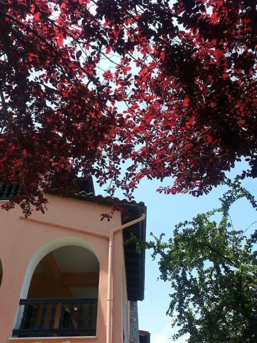 Villa Tethys Mountain Resort Zakas Ngoại thất bức ảnh