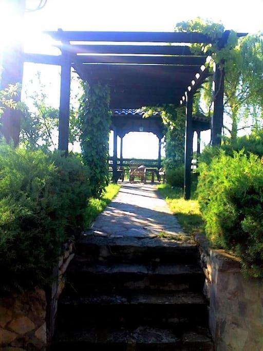 Villa Tethys Mountain Resort Zakas Ngoại thất bức ảnh